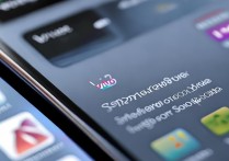 vivo 软件商店在哪？