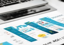 个人所得税纳税明细怎么查？2024年最新查询步骤和注意事项有哪些？