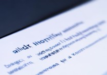 支付宝理财月报在哪查？新手查找流程详解