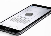 苹果7应用指纹怎么设置？详细步骤是什么？