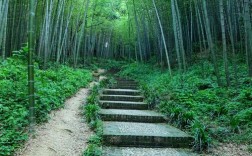 镇江南山竹林景区