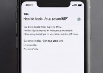 苹果手机怎么看WiFi密码？忘记密码怎么查？