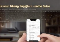 vivo手机信号弱怎么办？教你几招轻松增强信号接收！