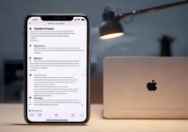 苹果玩游戏怎么设置最省电模式？