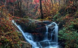 英山县桃花冲风景区