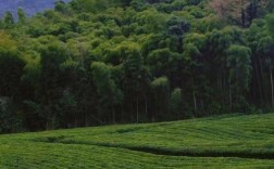 德清九天谷风景区