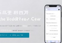 vivoy29l手机怎么双清，vivo y29l双清操作方法步骤