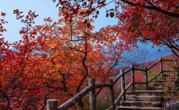 北京坡峰岭风景区