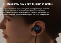 oppo蓝牙耳机正确佩戴方法是什么？