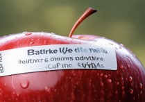 苹果怎么看电池循环次数？iPhone电池循环次数在哪查？