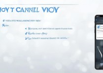 vivo账号怎么取消？手机端找不到入口怎么办？