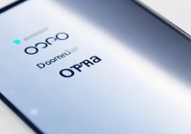 oppo助手手机版下载