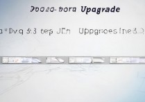 vivox3sw怎么升级到4.3，vivox3sw能升级安卓4.3吗