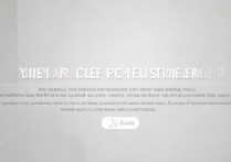 vivox30怎么退货，vivox30退货流程及注意事项