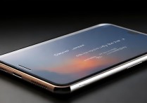 oppo的造句怎么写？有哪些经典例句和用法技巧？