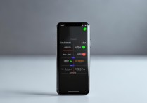 小米手环手机显示心跳