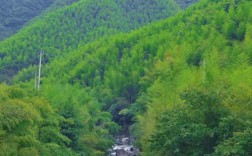 安吉龙王山风景区门票