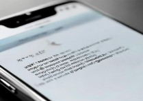 高仿苹果6plus怎么打开数据？高仿苹果6plus无法开启移动数据怎么办