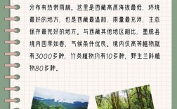 墨脱旅游攻略，如何规划一次难忘的墨脱之旅？