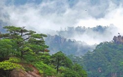 黄山风景区夏天热吗