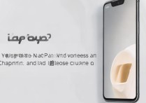 iqoo9Pro支持无线充电吗？能反向充电吗？