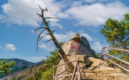 湖北天堂寨风景区