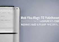 vivox9怎么打开网络设置？找不到入口怎么办？