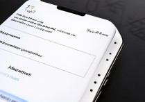 vivo通话提醒在哪设置？新手必看设置教程