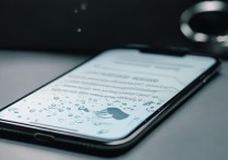 苹果手机轻微进水后自己能处理吗？求正确方法！