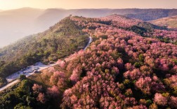 青芝山风景区