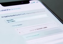 vivo已连WiFi密码怎么查看？手机里找连过的WiFi密码方法