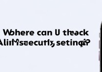 支付宝安全设置在哪查看？新手操作指南来了！