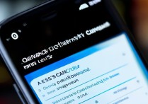 vivo手机怎么查当前网络带宽使用情况？