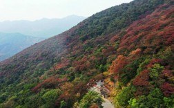 广东红叶景区在哪里