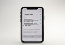 苹果手机屏幕怎么打开手电筒？不用锁屏也能亮吗？
