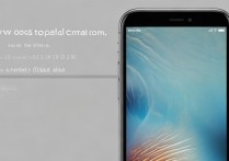 苹果6屏幕上的圆圈怎么设置方法