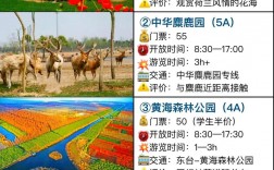 盐城旅游攻略，如何规划一次完美的盐城之旅？