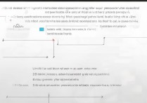 vivox9无法使用4G网络怎么办？原因及解决方法详解