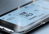 vivo手机卡二装上后为何不显示2025年全新数据？