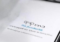 OPPO Find X3 Pro摄影师版价格是多少？起售价及配置详解