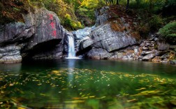 广元青川唐家河风景区