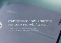 vivo 修改软件启动不了怎么办，vivo 修改软件启动失败如何解决