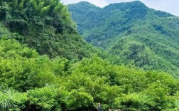 泾县月亮湾风景区图片