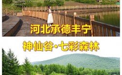 河北坝上草原旅游攻略，如何规划一次完美的草原之旅？