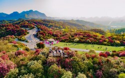 毕节花垚谷风景区