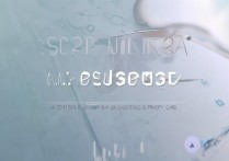 oppo手机怎么设置呼叫转移？呼叫转移功能在哪里设置