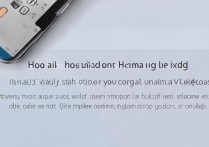 vivox9怎么启用八核？vivox9处理器怎么调八核全开