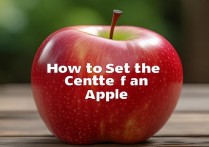 苹果手机怎么设置屏幕显示中心？