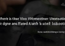 vivo主题设置入口在哪？新手找不到设置位置怎么办？