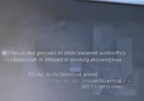 realmebook显卡型号和充电速度怎么样？